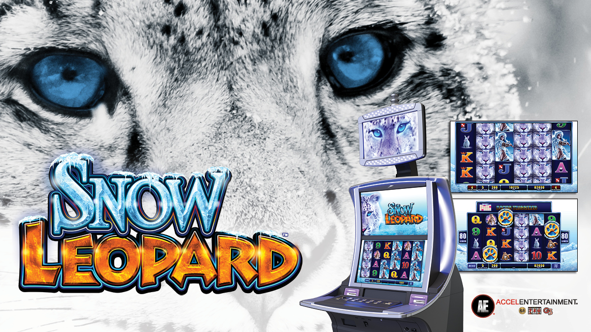 Snow Leopards slot